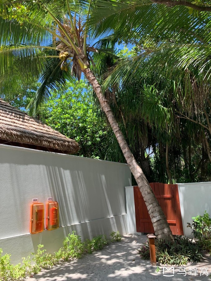 20191109_183501_220.png