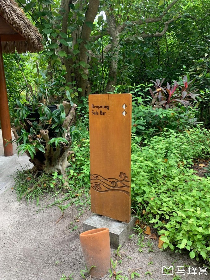 20191109_183501_269.png